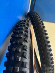 IMG_6542.jpeg