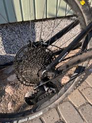 IMG_8232.jpeg