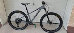 Trek Roscoe 8.jpg