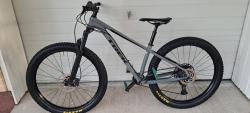 Trek Roscoe 8a.jpg