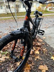 IMG_1100.jpeg