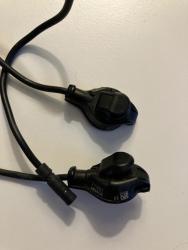 IMG_1166.jpeg