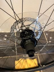 IMG_1432.jpeg