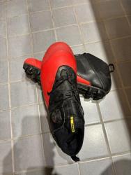 IMG_1599.jpeg