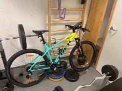 IMG_1974.jpeg