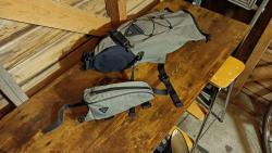 IMG_20241011_075554.jpg