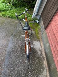 IMG_2978.jpeg