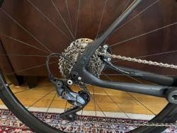 IMG_4247.jpeg