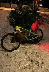 IMG_4434.jpeg