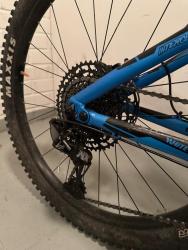 IMG_8477.jpeg