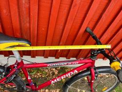 IMG_1829.jpeg