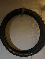 IMG_3359.jpeg