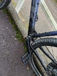 IMG_5994.jpeg