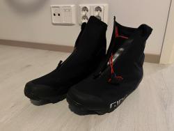IMG_7274.jpeg