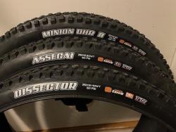 Maxxis.jpg