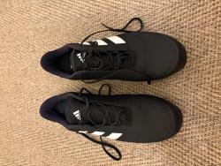 IMG_0310.jpeg
