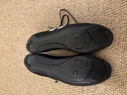 IMG_0311.jpeg