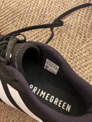 IMG_0312.jpeg