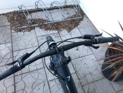 IMG_2434.jpeg