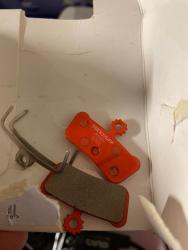 IMG_5708.jpeg