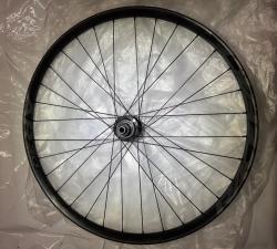 IMG_7531.jpeg