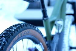 _MG_4164.JPG