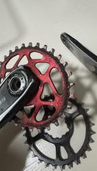 IMG_7024.jpeg