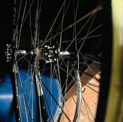 IMG_0607.jpeg