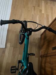 IMG_9290.jpeg