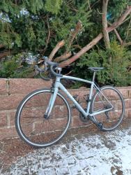 Trek Emonda.jpg