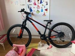 Frog Mtb 62.jpg