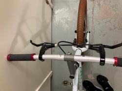 IMG_0655.jpeg