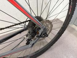 IMG_0736.jpeg