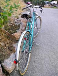 IMG_1450.jpeg