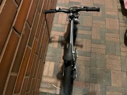 IMG_2028.jpeg