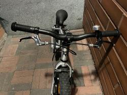 IMG_2029.jpeg
