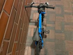 IMG_2032.jpeg