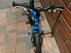 IMG_2033.jpeg