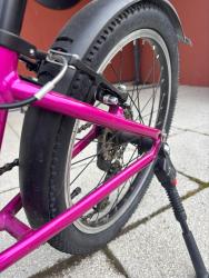 IMG_2599.jpeg