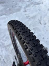 IMG_7393.jpeg