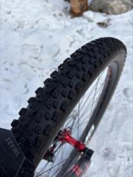 IMG_7394.jpeg