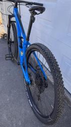 IMG_7919.jpeg