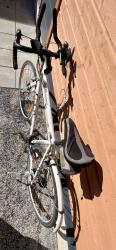 IMG_7978.jpeg