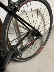 IMG_9147.JPEG
