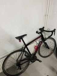 IMG_9155.JPEG