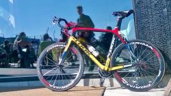 WP_20150613_001 1_Original.jpeg