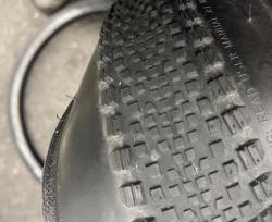 IMG_0774.jpeg