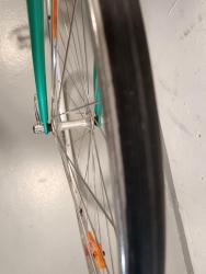 IMG_20250309_151420.jpg