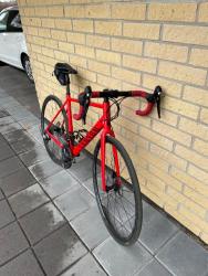 IMG_2177.jpeg
