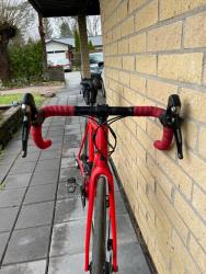 IMG_2181.jpeg